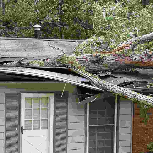 Insurance Against Storm Damage